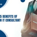 <strong>The Top 5 Benefits of Hiring an IT Consultant</strong>